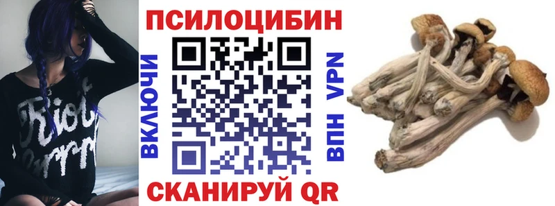 Псилоцибиновые грибы ЛСД  Купить  Сасово 